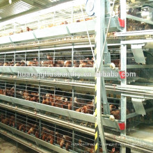 Best selling chicken farming materials equipment